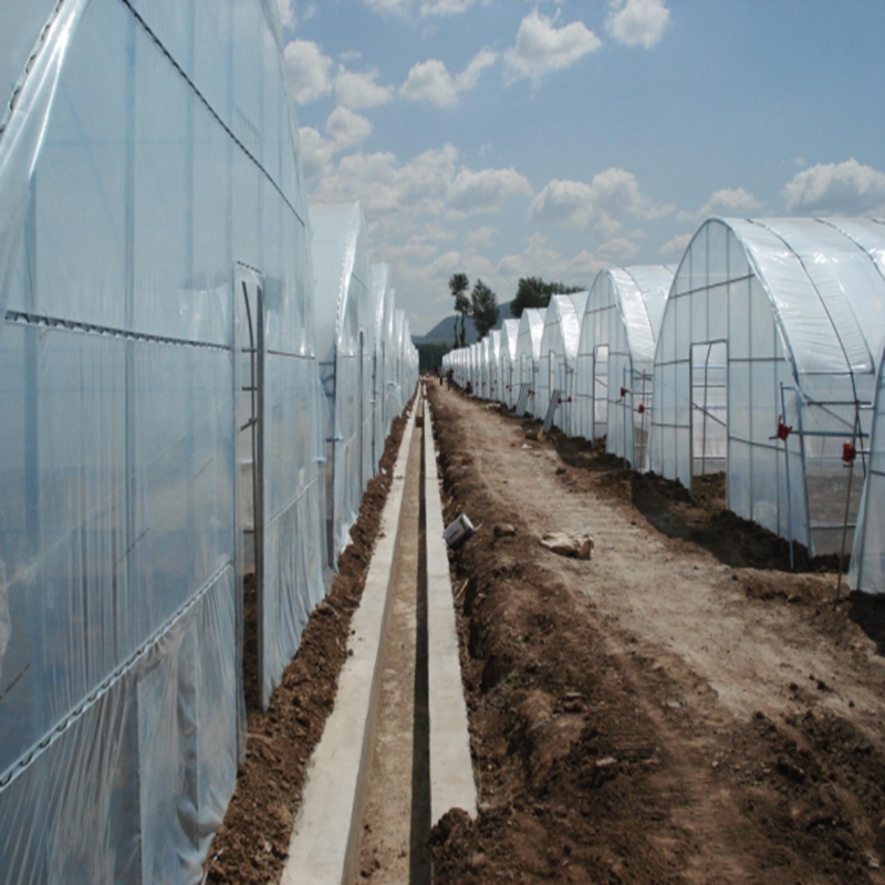 Agriculture Farming Vegetables - 0.04~0.12mm 농업용 비닐하우스 필름 농작물 채소