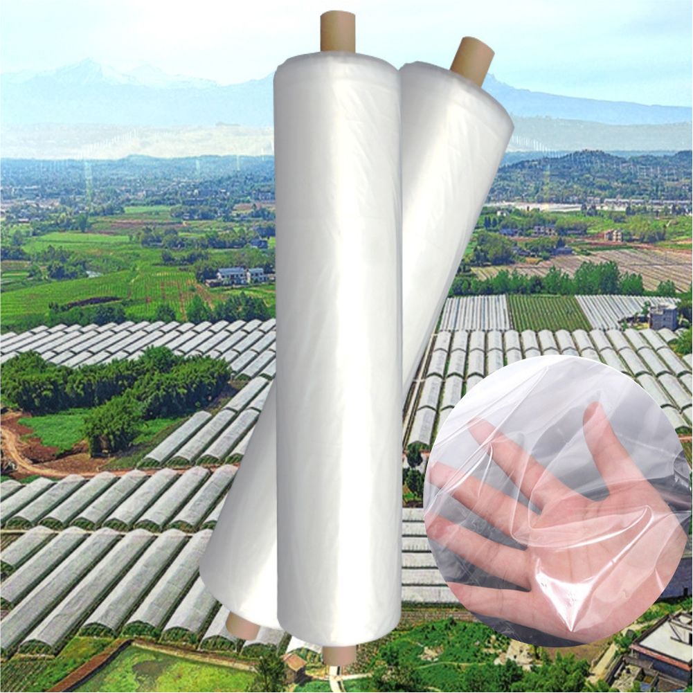 농업 농장 온실 플라스틱 필름 정원 야채 꽃 곤충 메쉬 - Agriculture Farming Vegetables 리뷰 및 가격