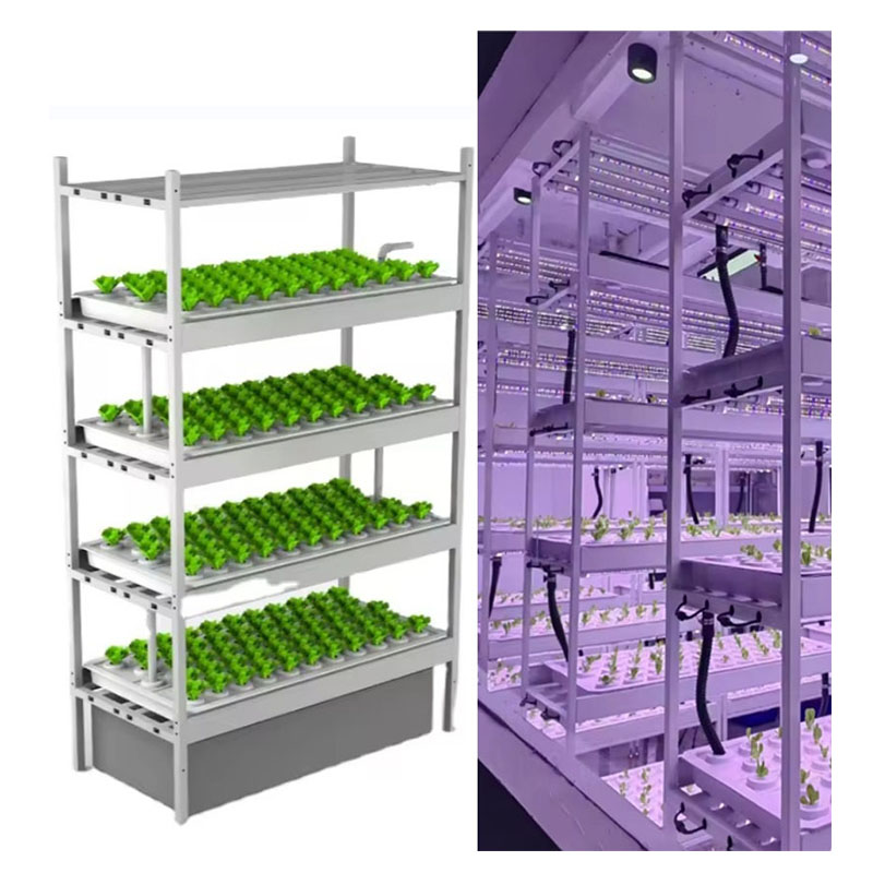 온실 농업 장비 버섯 채소 과일 재배 수직 농장 수경  - Agriculture Farming Vegetables 리뷰 및 가격