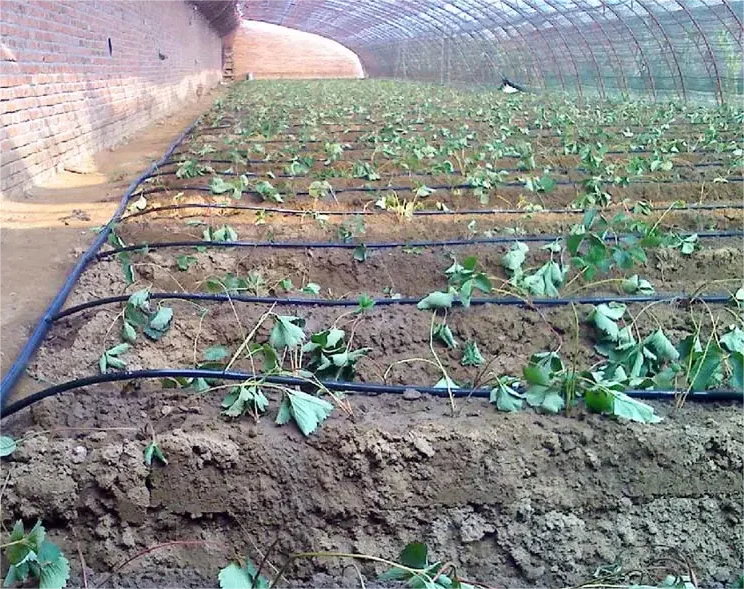 1HA 관개 키트 농업용 도구 2000m 16*0.2* - Agriculture Farming Kit 리뷰 및 가격